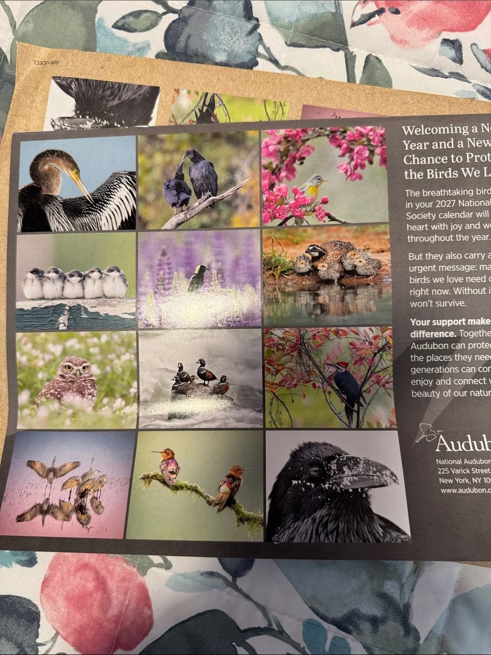 Protecting Birds and Nature 2027 Calendar